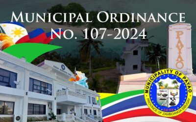 Municipal Ordinance No. 107-2024